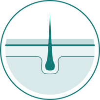 Hair Bump Relief Step 4 image